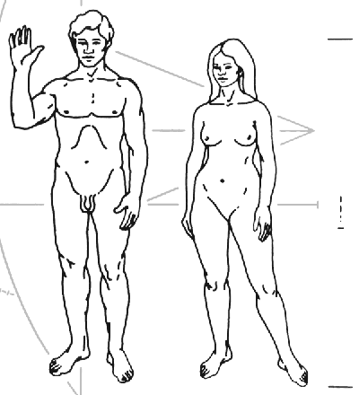 PLACCA DEI PIONEER